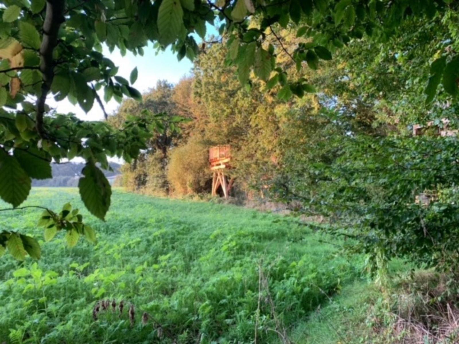 La Es Renais - Ferme Et Insolite Farm stay
